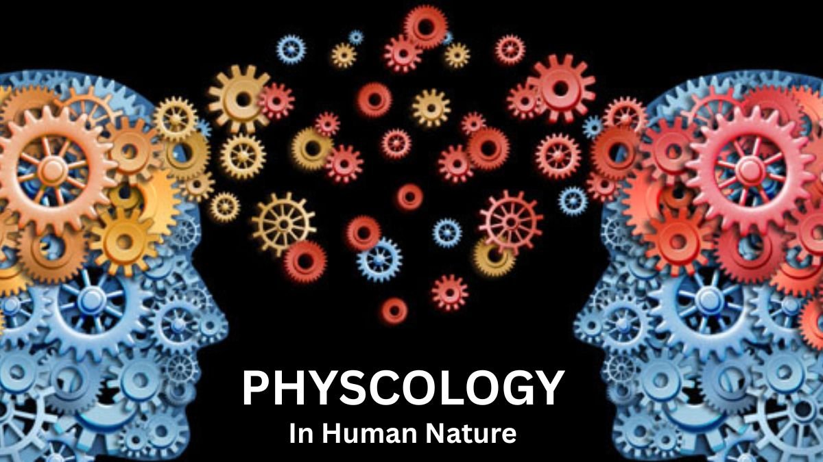 Psychology Says Formula: Simple Rules to Understand Human Behavior